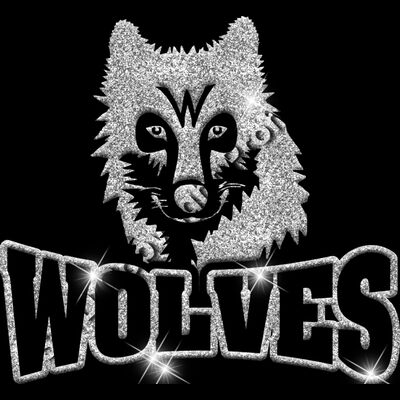 GLT32 SILVER GLITTER Thumbnail