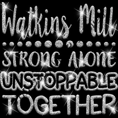 GLT87 SILVER GLITTER Thumbnail